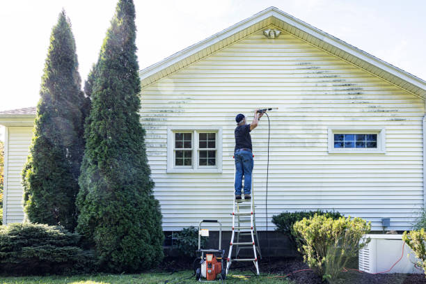 Roof Power Washing Services in Chandler, TX